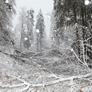 normal_24012012fmt_sperrefelbertalstr_mw_18.JPG