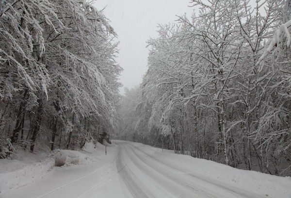 normal_24012012fmt_schneefahrbahn_mw_08.JPG