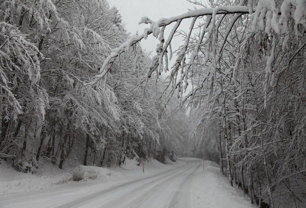 normal_24012012fmt_schneefahrbahn_mw_10.JPG