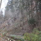 DSC_0018_JPG-1327518943