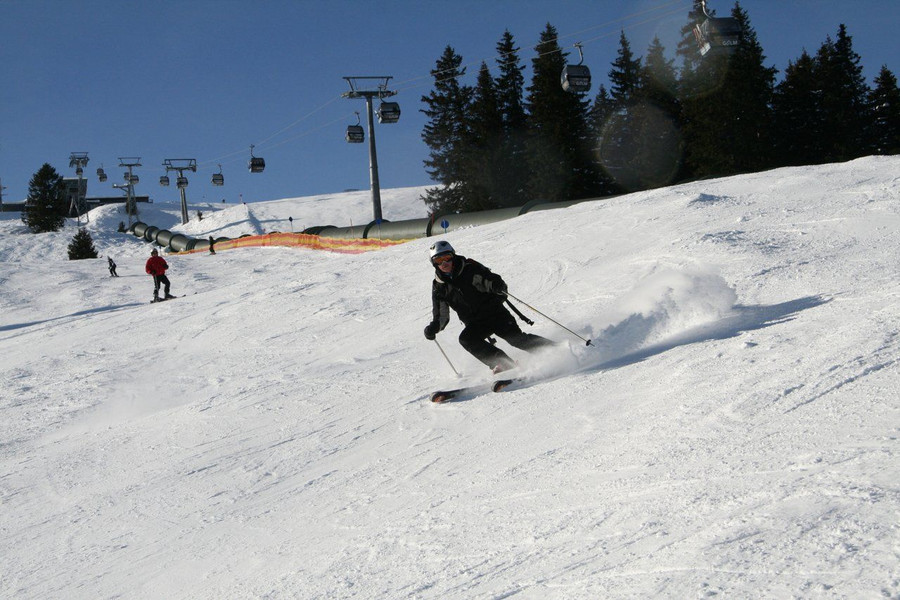 IMG_6330.jpg