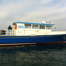 Foto5.JPG