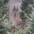 25012012_Pinzgauer Absturz_DL _1_.jpg