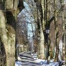 normal_26012012fmt_moenchsberg_ta_011.JPG