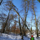 normal_26012012fmt_moenchsberg_ta_019.JPG