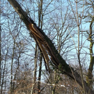 normal_26012012fmt_moenchsberg_ta_020.JPG