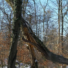 normal_26012012fmt_moenchsberg_ta_021.JPG
