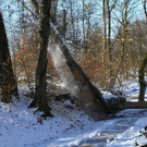 normal_26012012fmt_moenchsberg_ta_022.JPG
