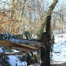 normal_26012012fmt_moenchsberg_ta_023.JPG