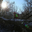 normal_26012012fmt_moenchsberg_ta_025.JPG