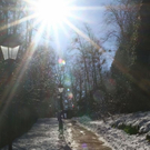 normal_26012012fmt_moenchsberg_ta_027.JPG