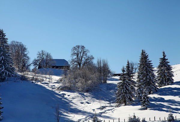 normal_26012012fmt_winterwunderland_mw_03.JPG