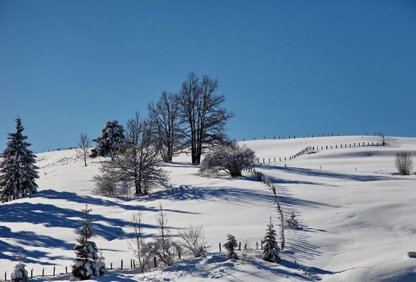 normal_26012012fmt_winterwunderland_mw_05.JPG