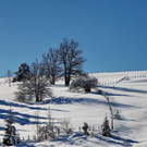 normal_26012012fmt_winterwunderland_mw_05.JPG