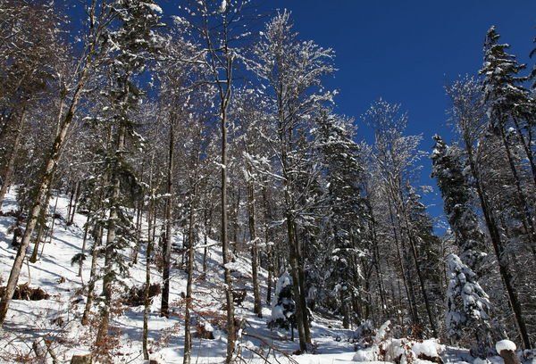 normal_26012012fmt_winterwunderland_mw_07.JPG
