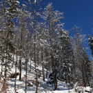 normal_26012012fmt_winterwunderland_mw_07.JPG