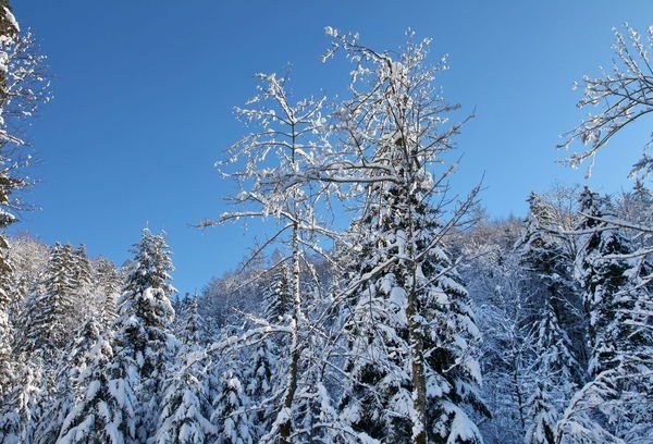 normal_26012012fmt_winterwunderland_mw_08.JPG