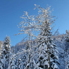 normal_26012012fmt_winterwunderland_mw_08.JPG