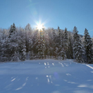 normal_26012012fmt_winterwunderland_mw_14.JPG