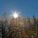 normal_26012012fmt_winterwunderland_mw_15.JPG