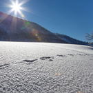 normal_26012012fmt_winterwunderland_mw_22.JPG