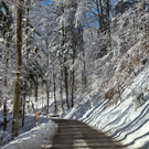 normal_26012012fmt_winterwunderland_mw_24.JPG