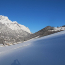 normal_26012012ubergsuchede01001aktivnews_1.jpg