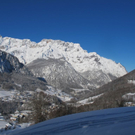 normal_26012012ubergsuchede01001aktivnews_7.jpg