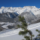 normal_26012012ubergsuchede01001aktivnews_9.jpg