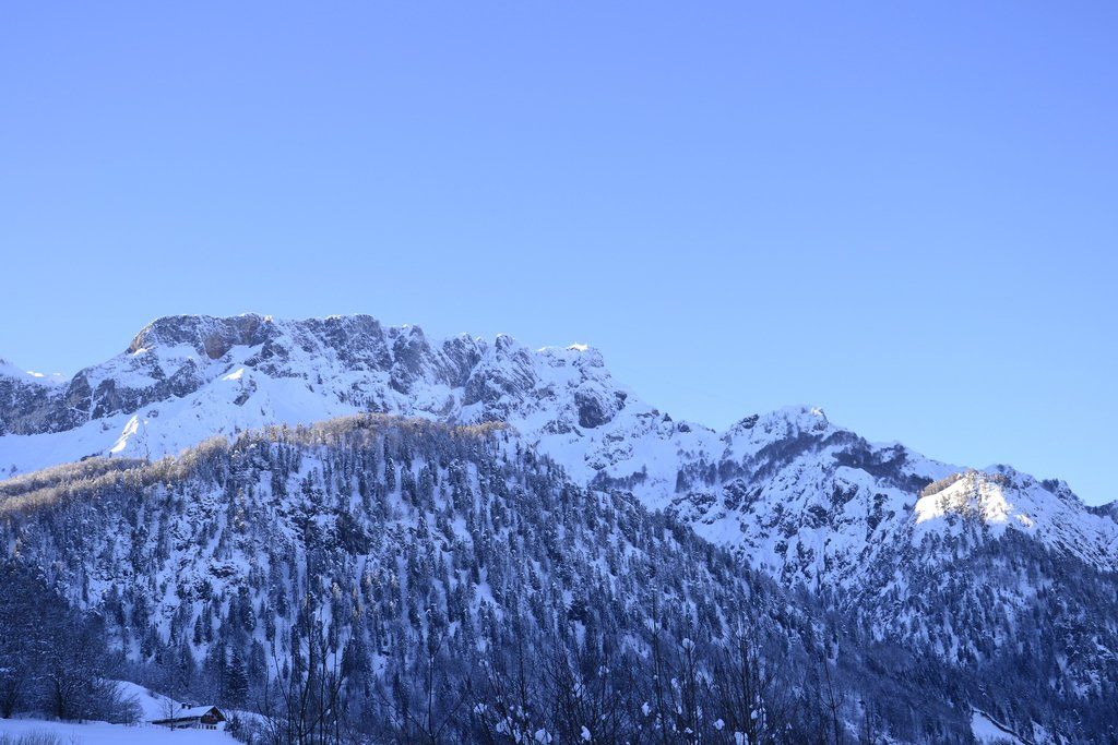 26012012winterblickeat05004aktivnews_39.jpg