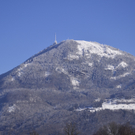 26012012winterblickeat05004aktivnews_25.jpg