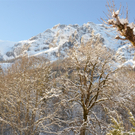 26012012ramsaude_01_005aktivnews_48.JPG