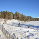 26012012ramsaude_01_005aktivnews_46.JPG