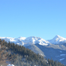 26012012ramsaude_01_005aktivnews_16.JPG