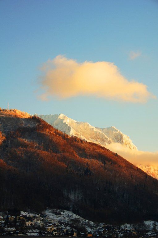26012012traumtagat_02_001aktivnews__22_.JPG