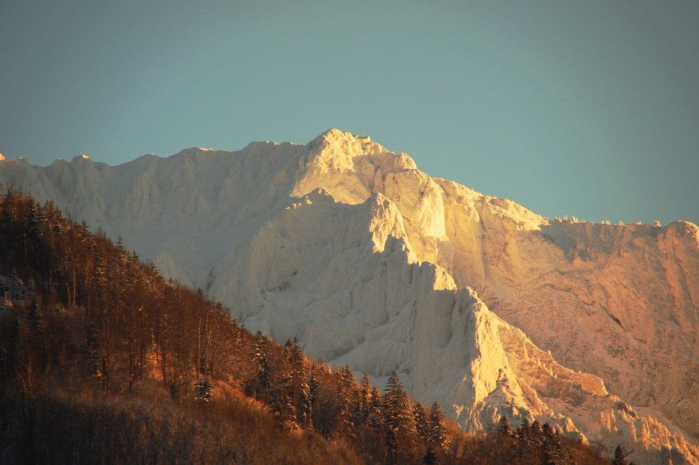 26012012traumtagat_02_001aktivnews__25_.JPG