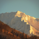 26012012traumtagat_02_001aktivnews__25_.JPG