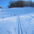 normal_26012012schneespurensalzburgsberge_01.jpg