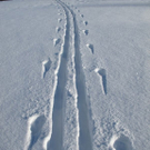 normal_26012012schneespurensalzburgsberge_08.jpg