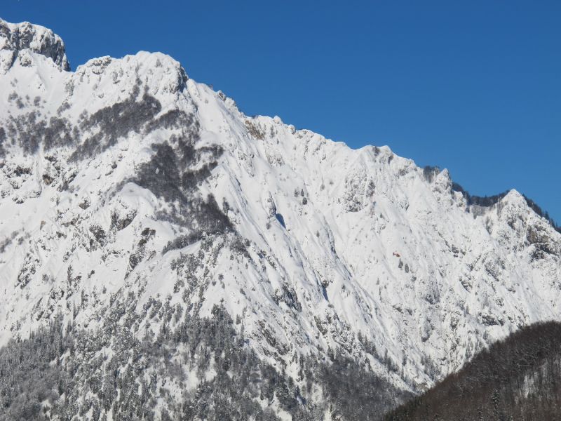 normal_26012012schneespurensalzburgsberge_15.jpg