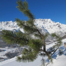 normal_26012012schneespurensalzburgsberge_20.jpg
