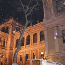 DSC06798.JPG