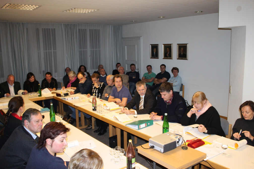 GV Sitzung BUDGET 2012 _8__jpg-1327691243