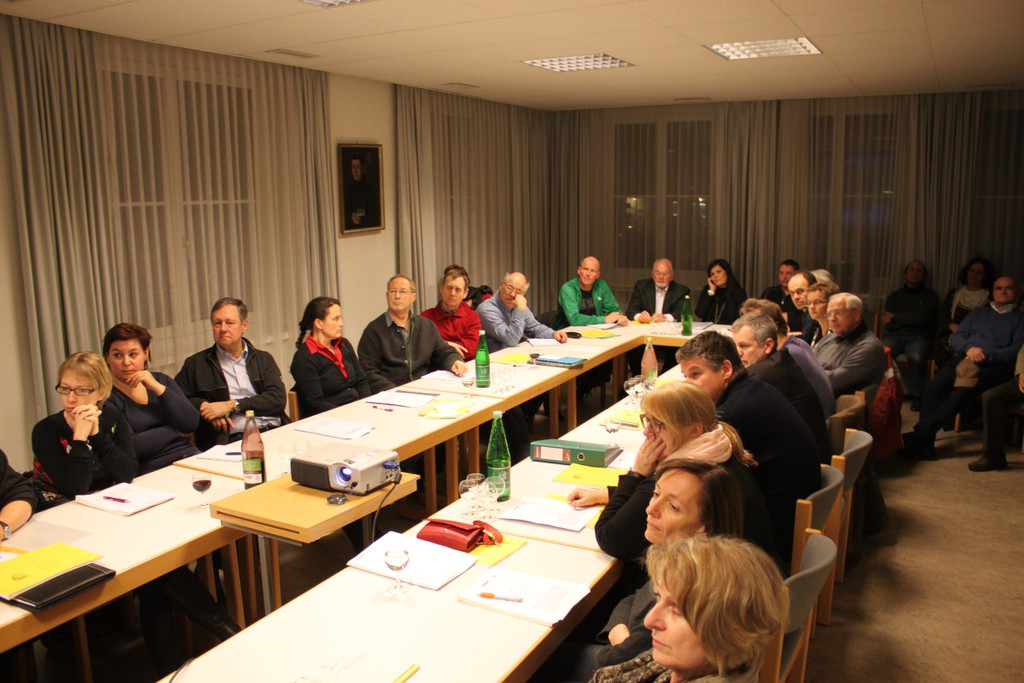 GV Sitzung BUDGET 2012 _4__jpg-1327691222