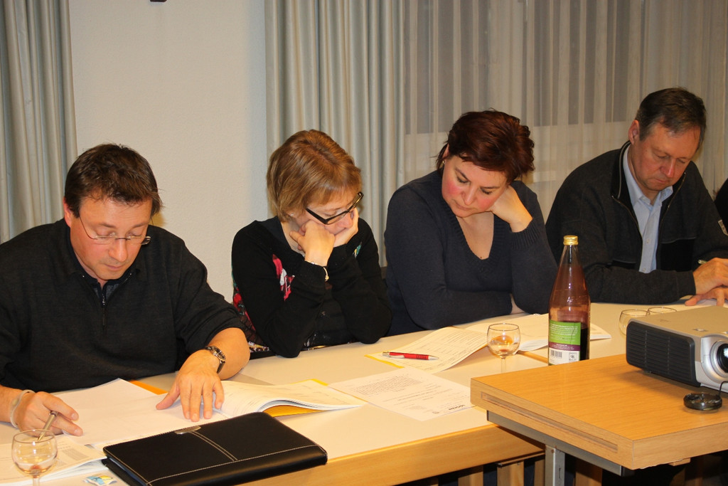 GV Sitzung BUDGET 2012 _16__jpg-1327691284