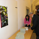 Vortrag Forscherfrüchte