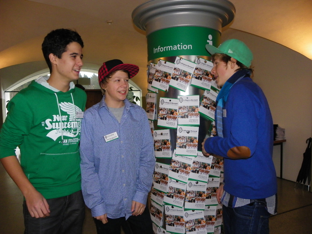 113_6667_JPG-1327705197