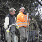 113_6650_JPG-1327708458