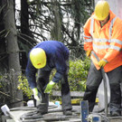 113_6657_JPG-1327708477