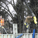 113_6651_JPG-1327708801